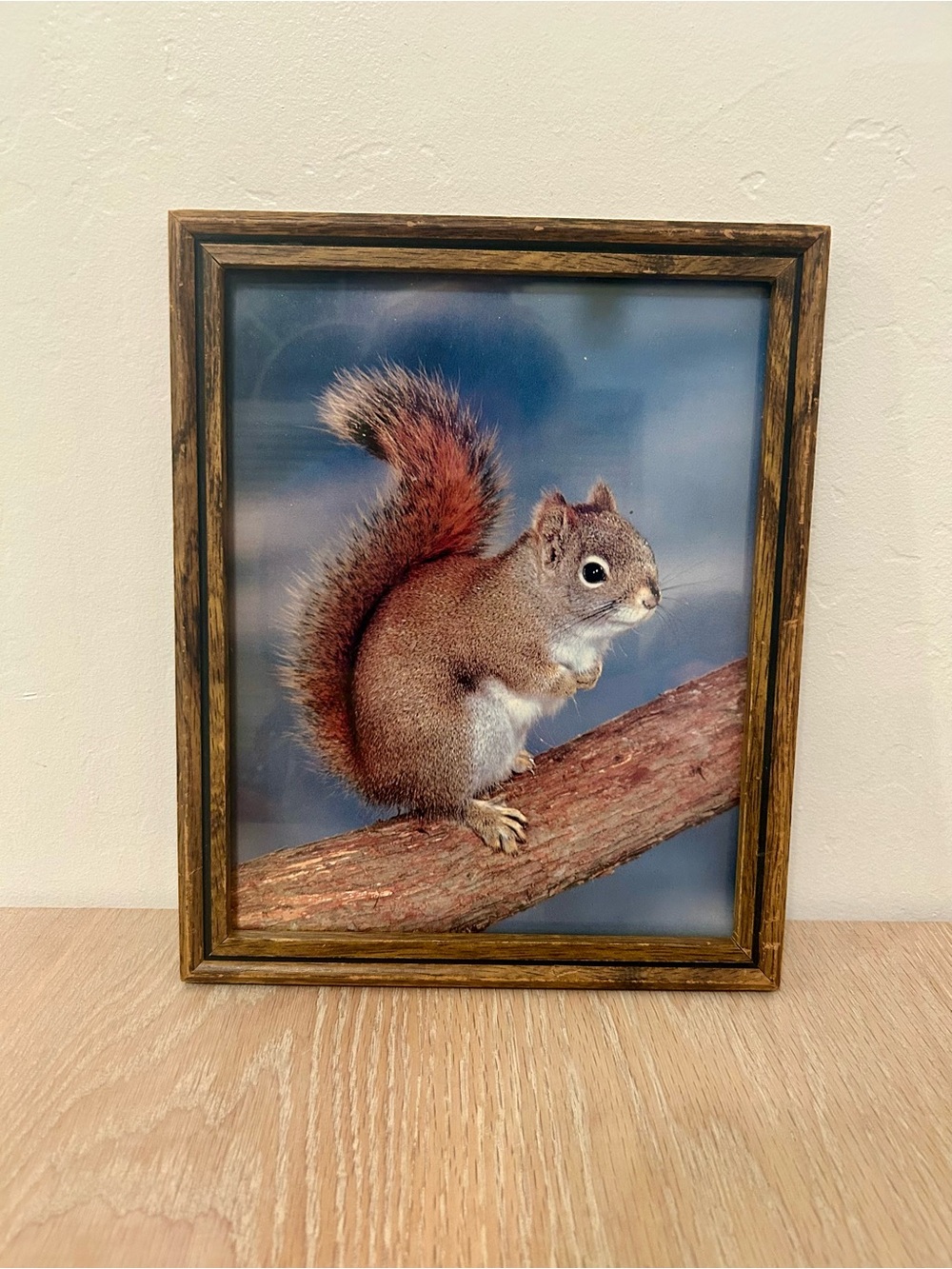 Vintage Framed Squirrel Art in Brown, Tan, and Red